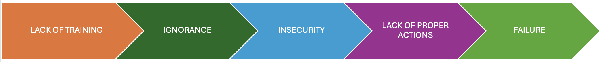 Lack of training > Ignorance > Insecurity > Lack of proper actions > Certainty of failure.